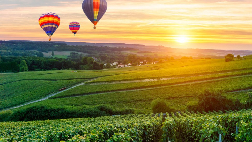 hot air balloon over winery