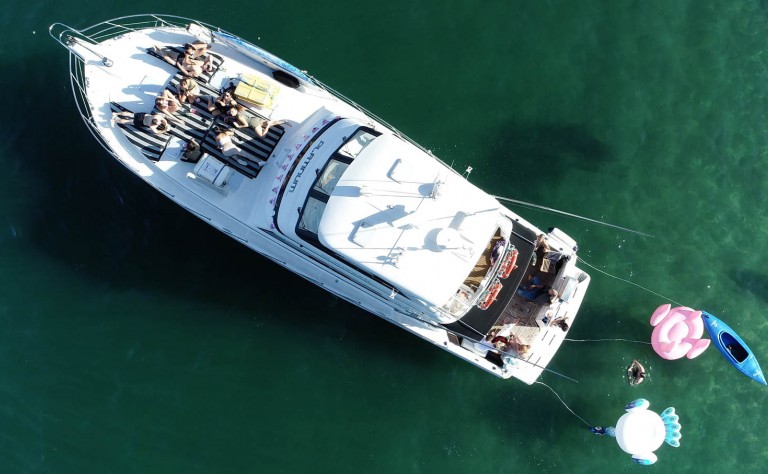 Boat cruise sydney overhead